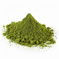 Poudre de moringa